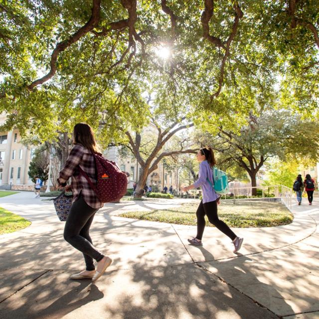 Students walk on campus