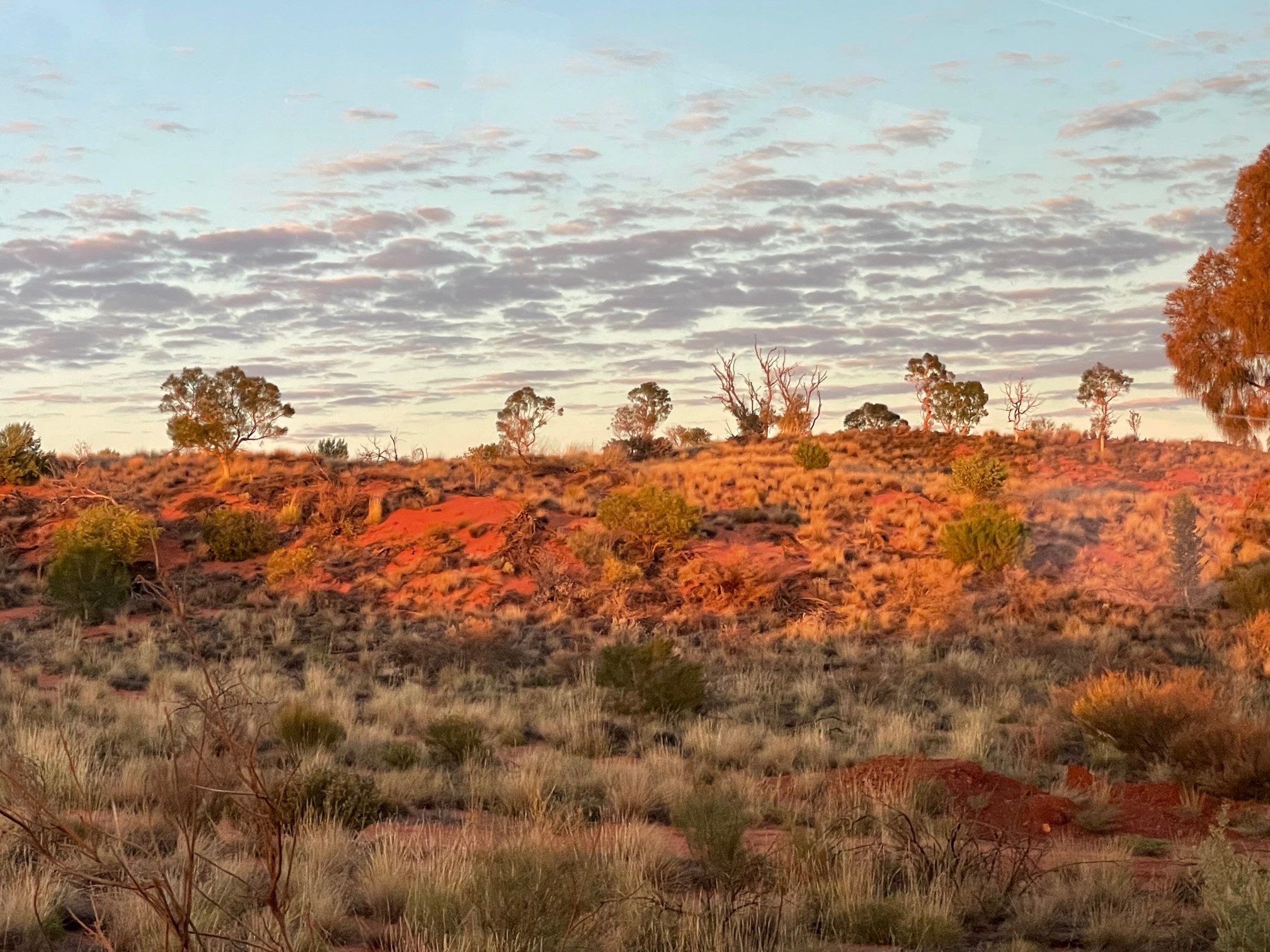 australia landscape