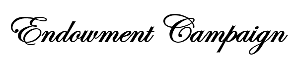 Endowment campaign in script lettering