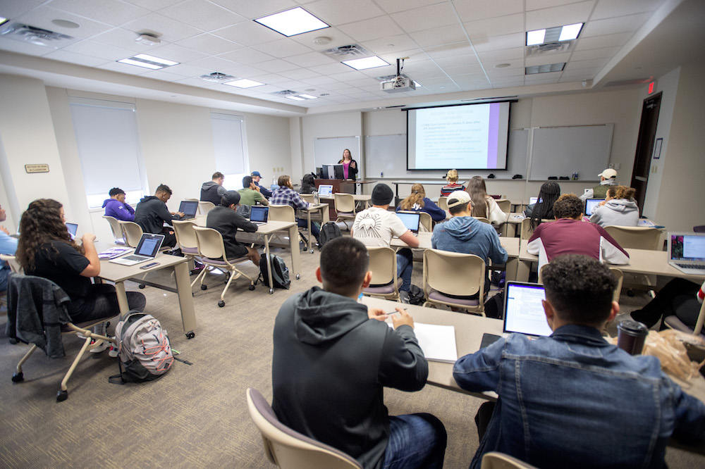 Students sit in a lecture