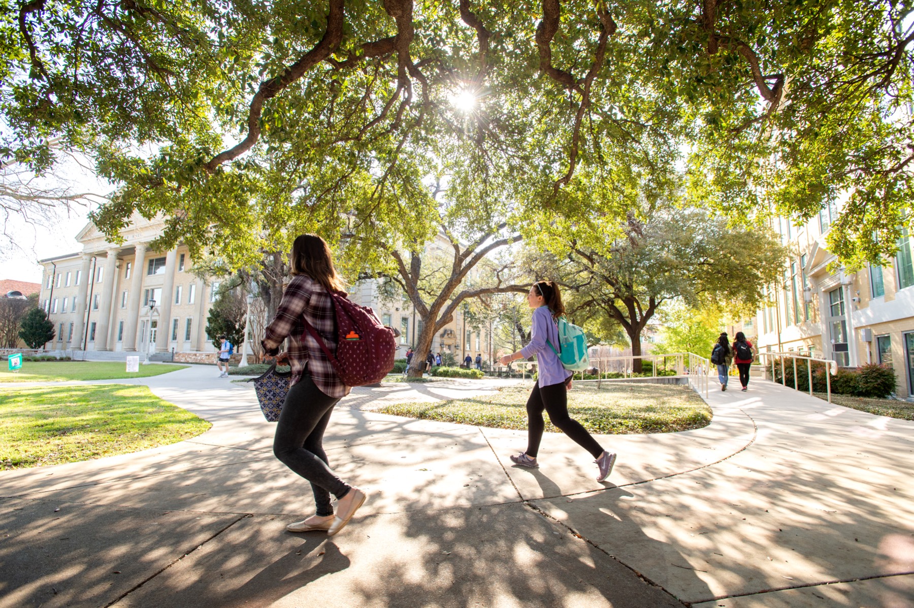 Students walk on campus