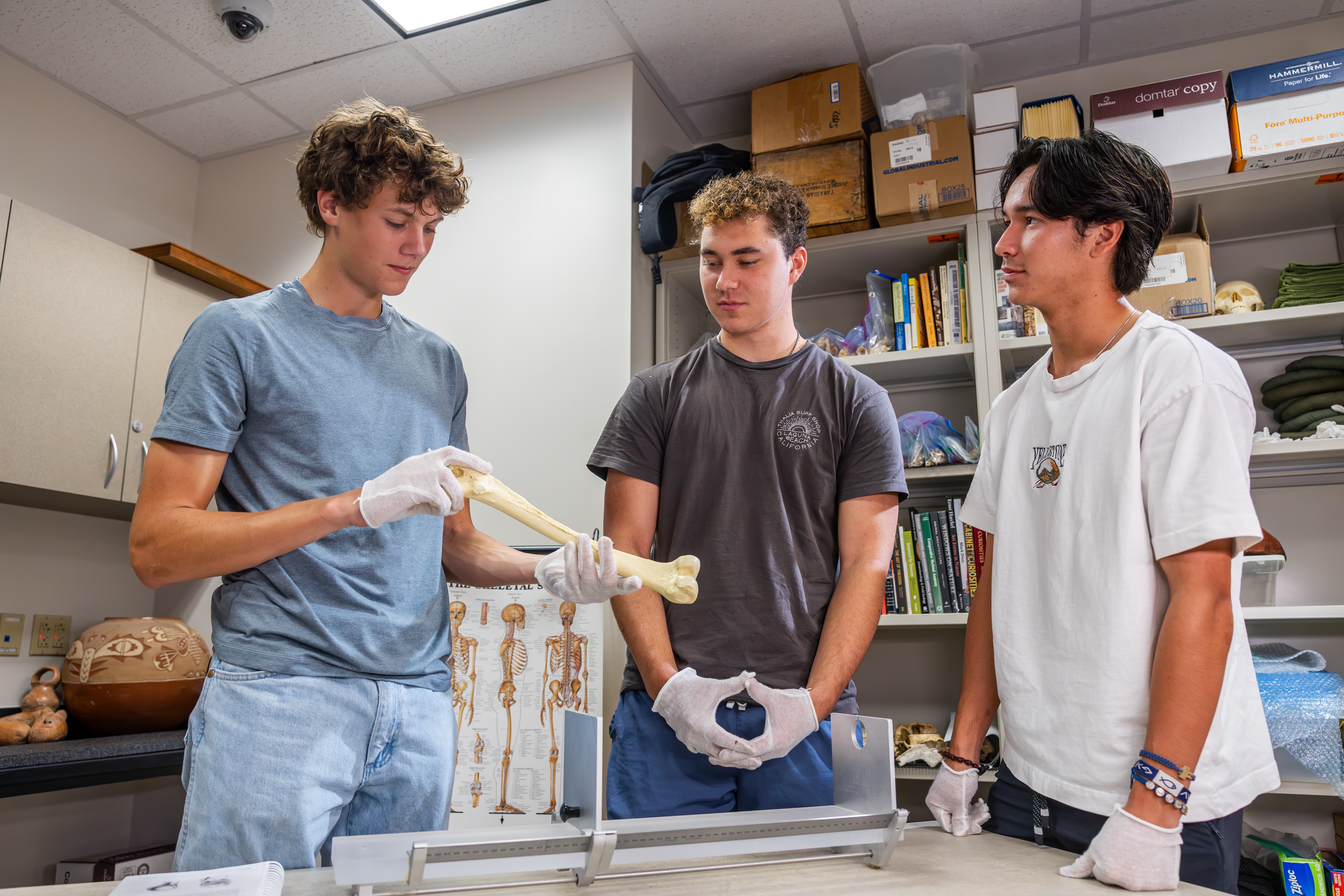 Students examine bones