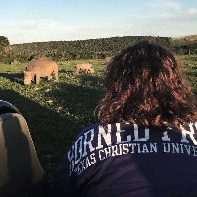 A student looks at a rhino