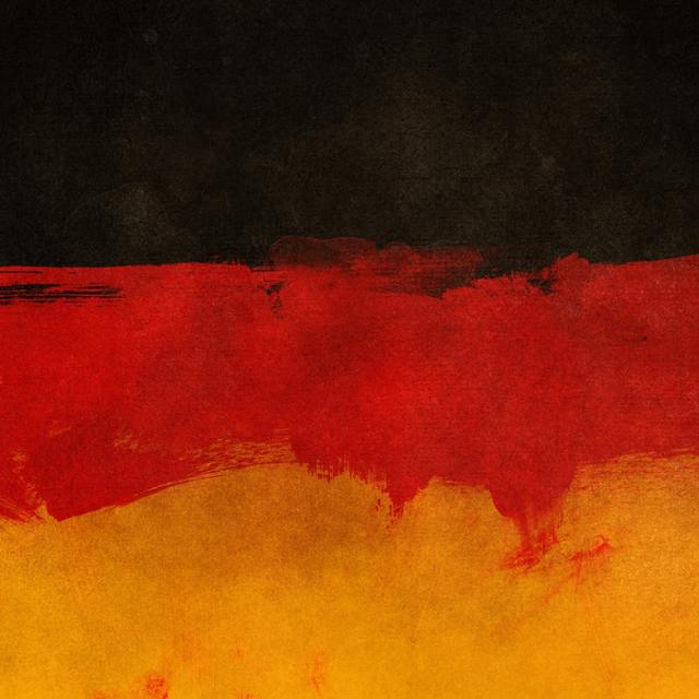 The German flag