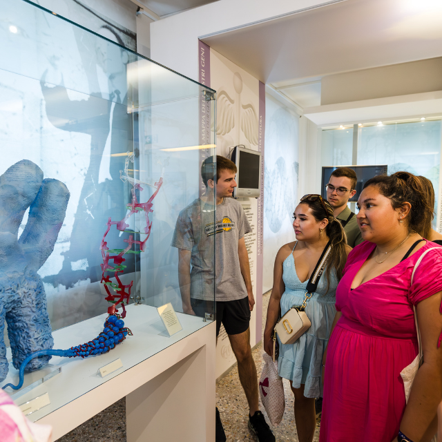 Students observing exhibits in a museum, including a sculpture and a DNA model. The setting features informational displays and glass cases.
