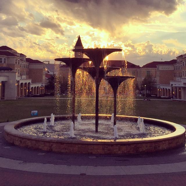 Frog fountain at sunset