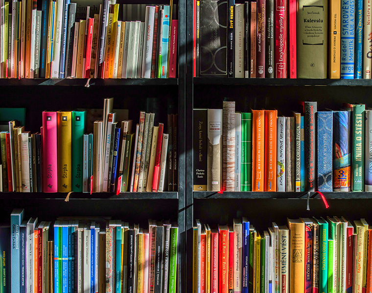 Books in Black Wooden Book ShelfCredit Pixelbay